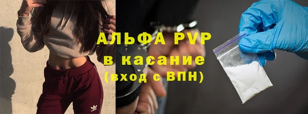 амф Белокуриха