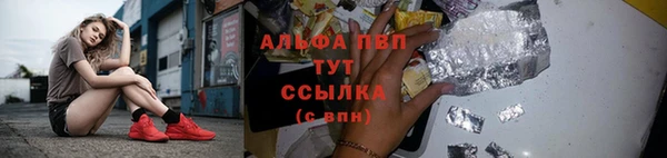 амф Белокуриха