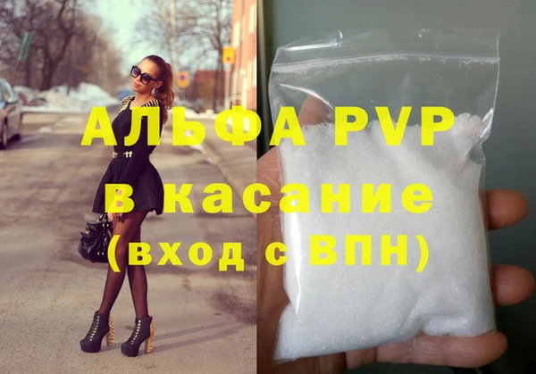амф Белокуриха