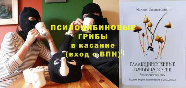 амф Белокуриха