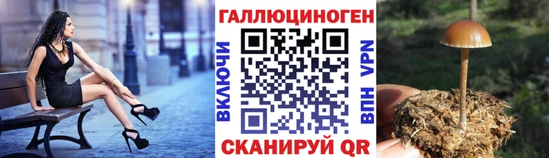 Псилоцибиновые грибы прущие грибы  OMG вход  Болохово 